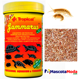 Gammarus Tropical alimento liofilizado para peces acuario