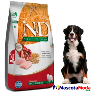 Alimento N&D ANCESTRAL pollo perros grandes