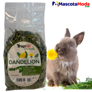 Tropifit Diente de León Superalimento Natural para Conejo