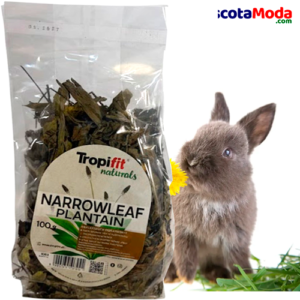 Tropifit Llantén Escudo nutricional Natural del conejo