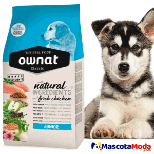 Ownat Classic chiken pollo cachorros