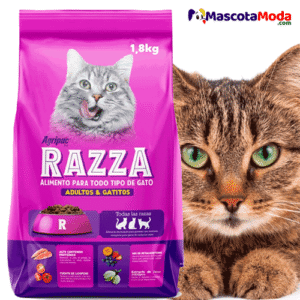 RAZZA alimento Hi Premium gatitos y gatos