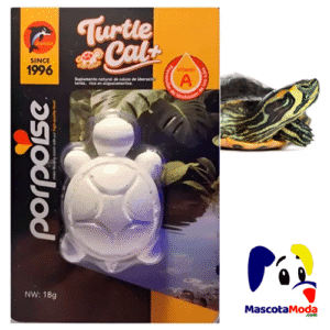Calcio para acondicionar el agua tortugas tortugueros