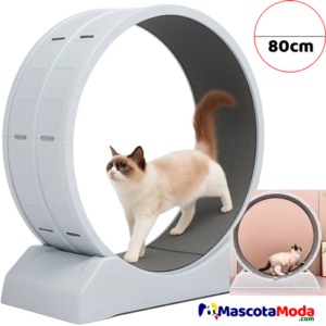 Rueda de Ejercicio grande para Gatos cinta de correr