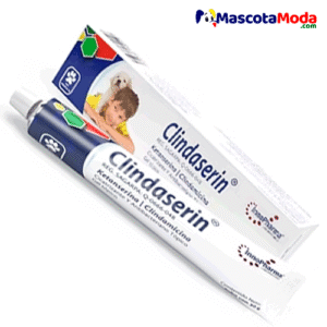 Clindaserin Ketanserina Clindamicina Antibiótico veterinario