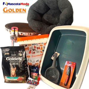 Combo GOLDEN para gatos o gatitos recién llegados