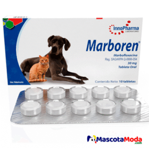 Marboren Marbofloxacina Antibiótico de Última Generación