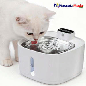 Fuente Bebedero con plato de acero Premium para Gatos