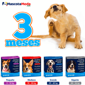 GENVET fluralaner masticable antipulgas 3 MESES perros