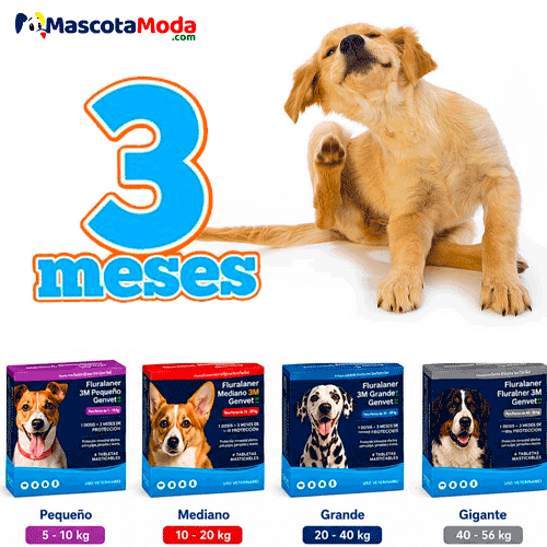 GENVET fluralaner masticable antipulgas 3 MESES perros