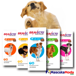 Bravecto 3 Meses Masticable Antipulgas y Garrapatas para Perro