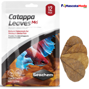 Catappa Leaves Hojas de Almendro Indio Seachem