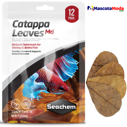 Catappa Leaves Hojas de Almendro Indio Seachem
