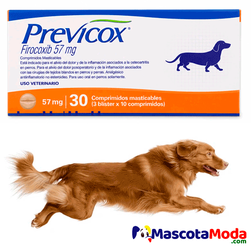 Previcox Firocoxib Antiinflamatorio y Analgésico Perros