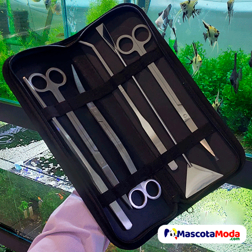 Set profesional de Herramientas para Acuarios Plantados