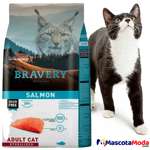 Bravery Grain Free Salmon Adult Cat Sterilized