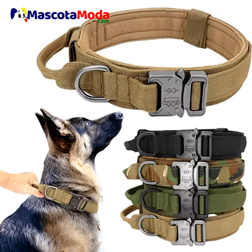 Collar Táctico K9 Hebilla Metálica Asa de Control para perros