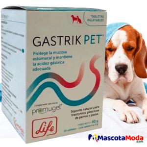 Gastrik Pet protector gástrico y soporte natural perros y gatos