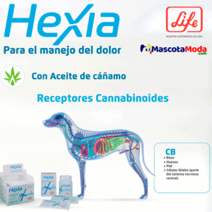 Hexia Tabletas con Aceite de Cáñamo CBD PERROS