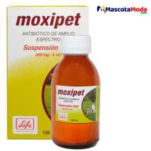 Moxipet Suspensión Oral antibiótico Veterinario
