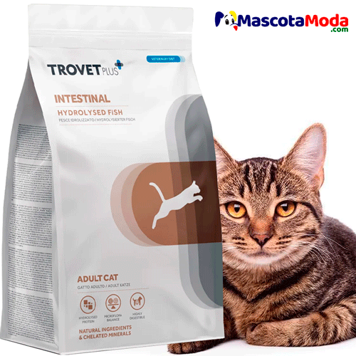 TrovetPlus Intestinal Hydrolysed Fish gatos adultos